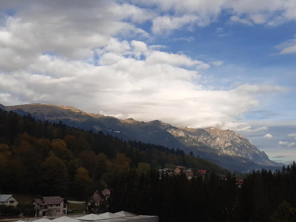 Bucegi View 39 - Colina Marei Lägenhet Sinaia Exteriör bild