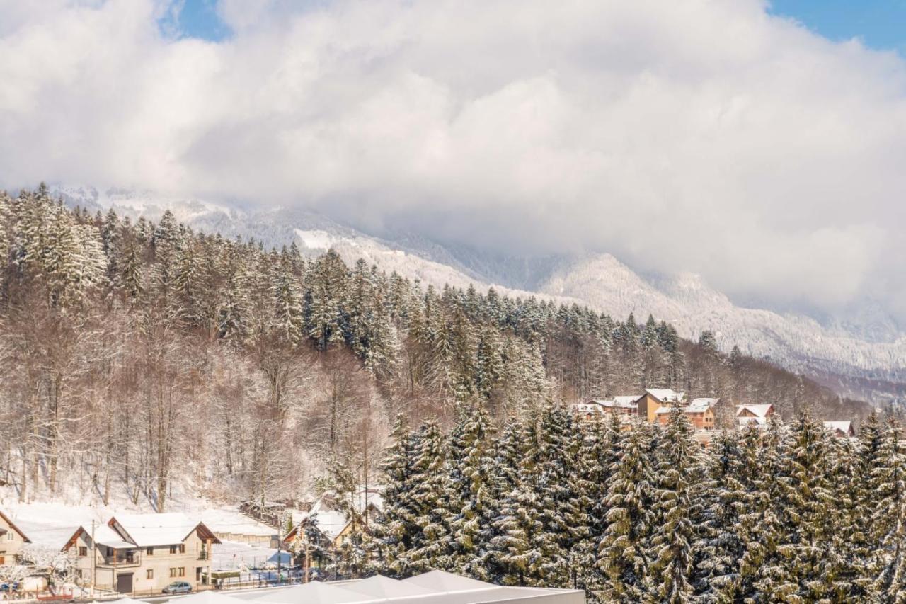Bucegi View 39 - Colina Marei Lägenhet Sinaia Exteriör bild