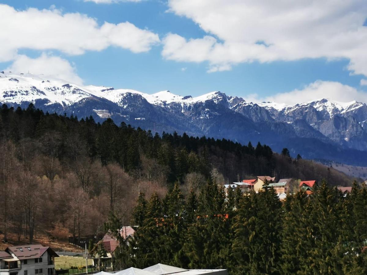 Bucegi View 39 - Colina Marei Lägenhet Sinaia Exteriör bild